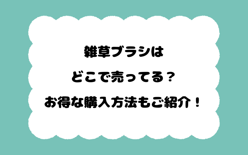 雑草ブラシはどこで売ってる？お得な購入方法もご紹介！
