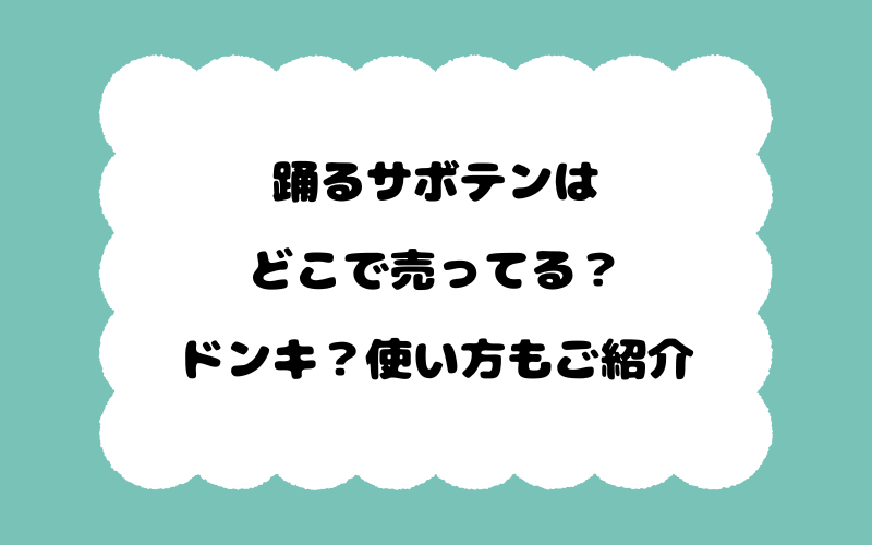 踊るサボテンはどこで売ってる？ドンキ？使い方もご紹介