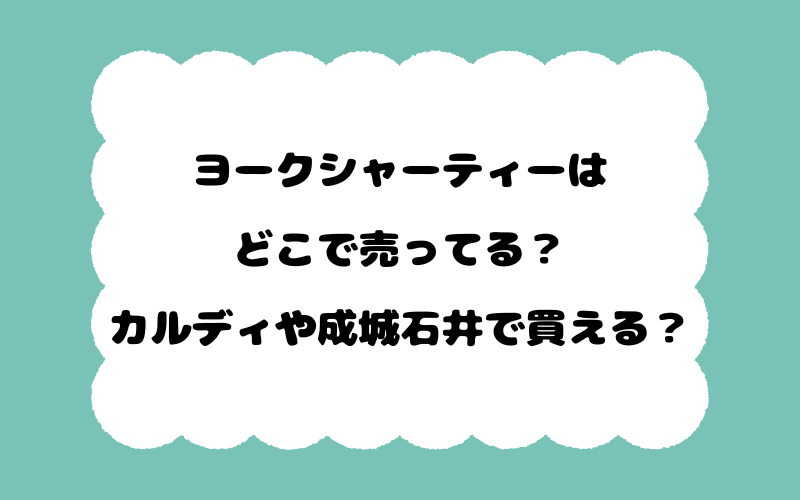ヨークシャーティーはどこで売ってる？カルディや成城石井で買える？