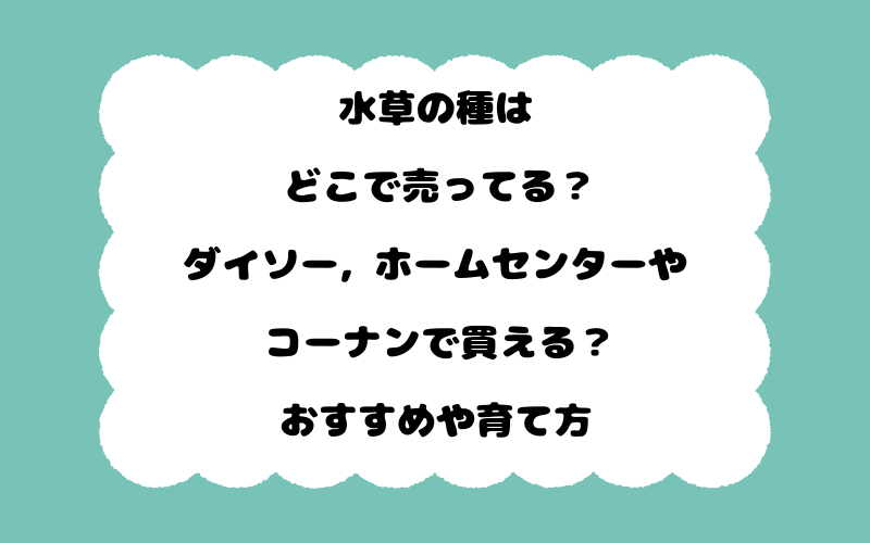水草の種はどこで売ってる？ダイソー, ホームセンターやコーナンで買える？おすすめや育て方