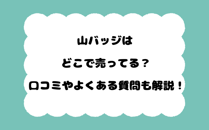 山バッジはどこで売ってる？口コミやよくある質問も解説！