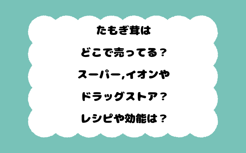 たもぎ茸はどこで売ってる?スーパー,イオンやドラッグストア?レシピや効能は?