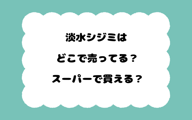 淡水シジミはどこで売ってる？スーパーで買える？