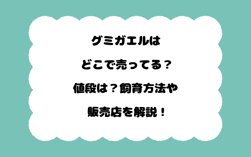グミガエルはどこで売ってる？値段は？飼育方法や販売店を解説！