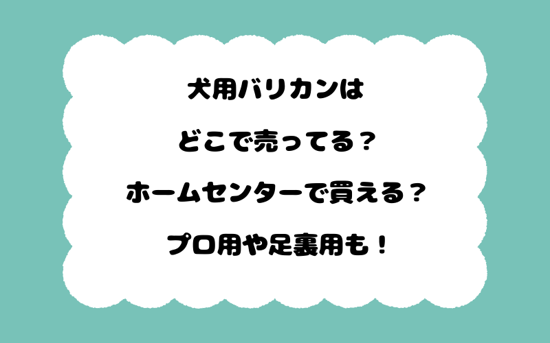 犬用バリカンはどこで売ってる？ホームセンターで買える？プロ用や足裏用も！