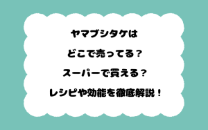 ヤマブシタケはどこで売ってる？スーパーで買える？レシピや効能を徹底解説！