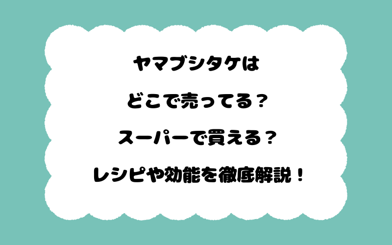 ヤマブシタケはどこで売ってる？スーパーで買える？レシピや効能を徹底解説！