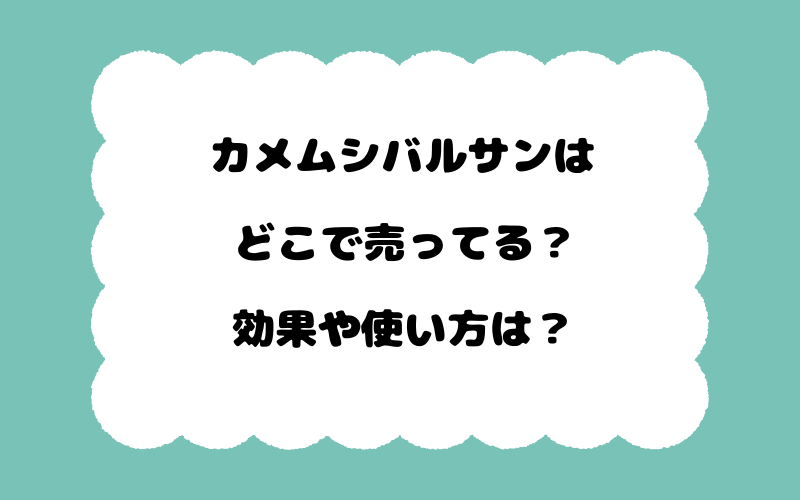 カメムシバルサンはどこで売ってる？効果や使い方は？