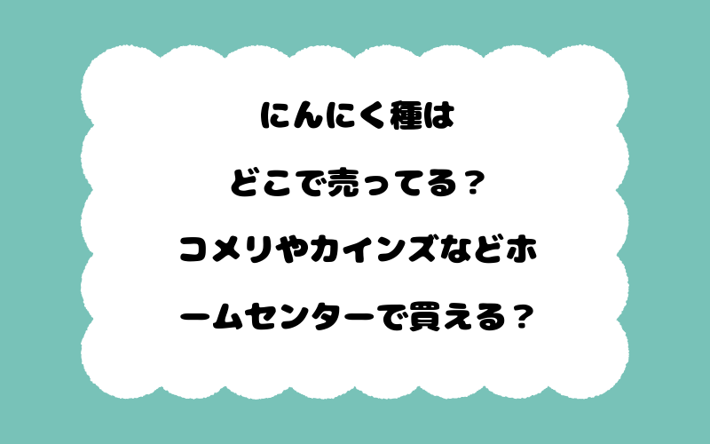 にんにく種はどこで売ってる？コメリやカインズなどホームセンターで買える？